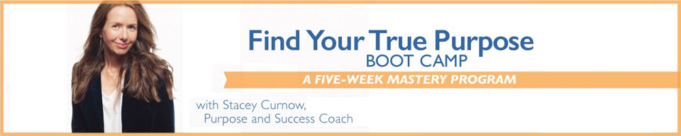 Find Your True Purpose Boot Camp